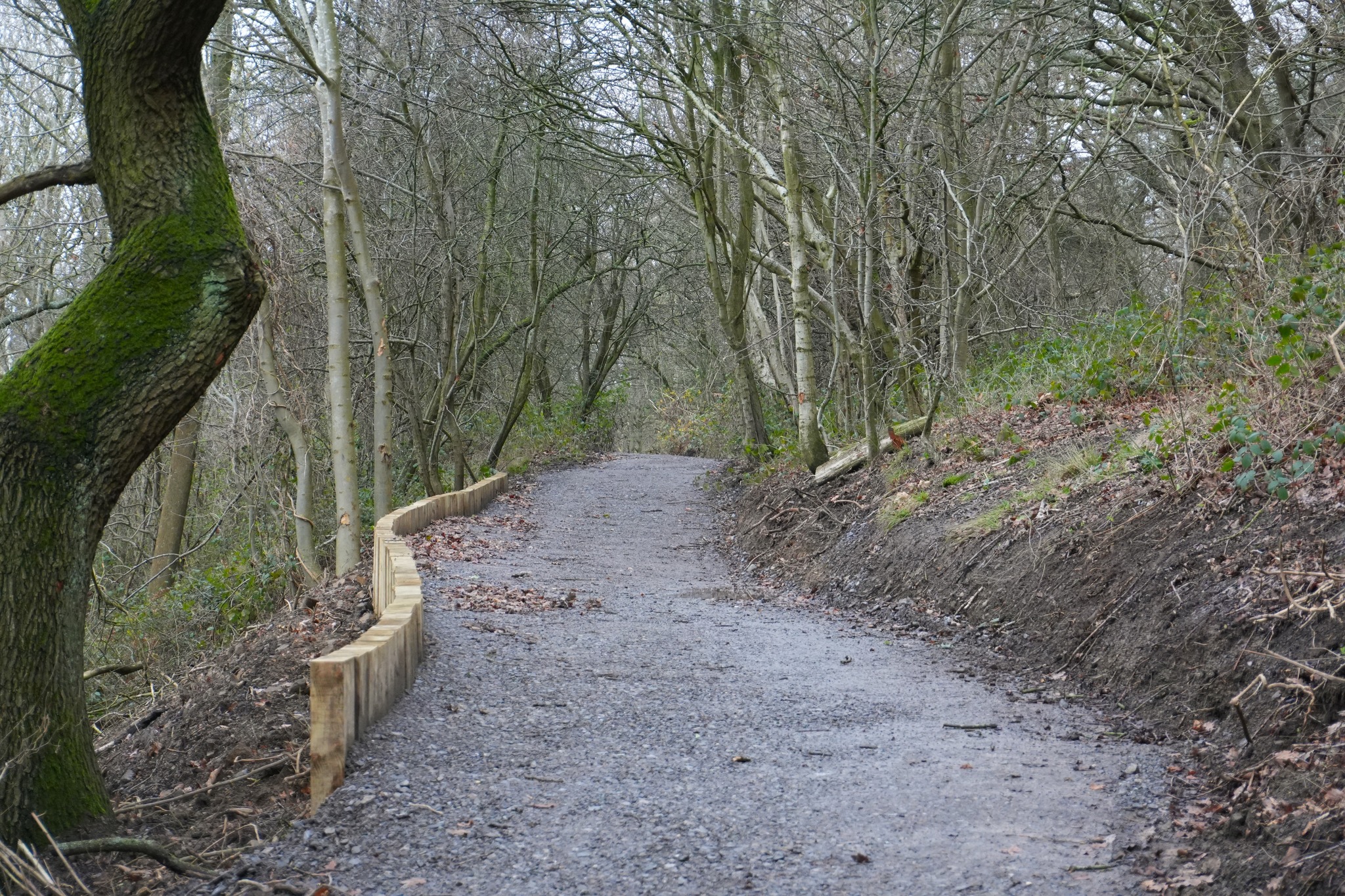 Path improvements completed at Roseberry Topping
