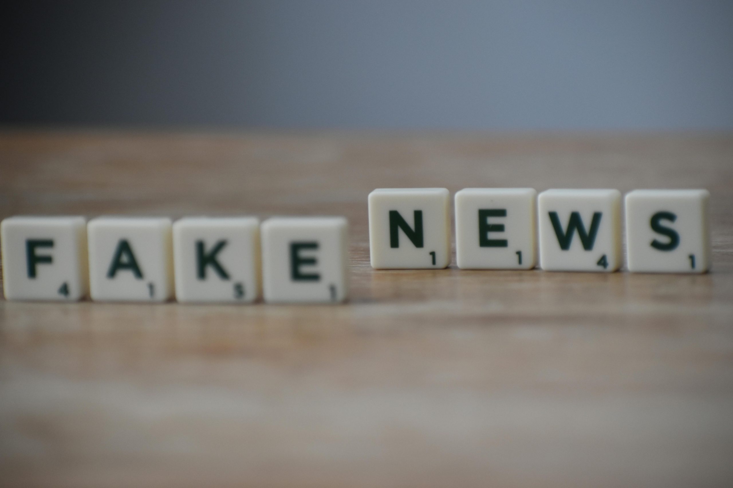 Myer warns on disinformation threat